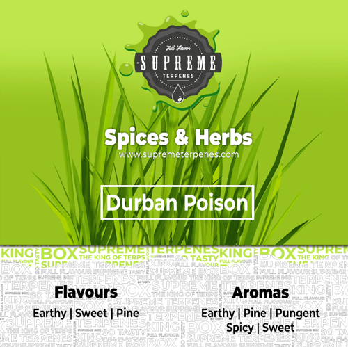 Supreme Terpenes Durban Poison characteristics