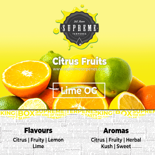 Supreme Terpenes Lime OG characteristics