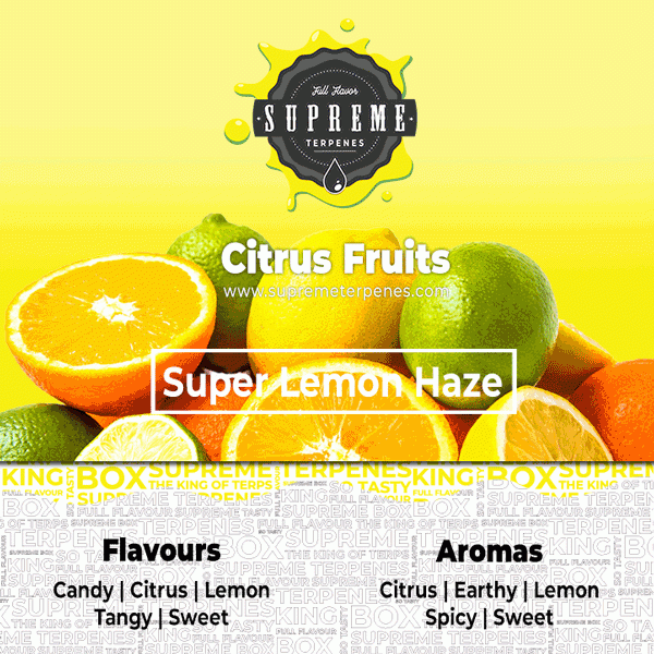 Supreme Terpenes Super Lemon Haze Characteristics
